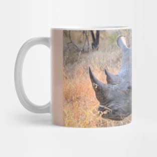 White rhinoceros rhino in Kruger National Park, South Africa Mug